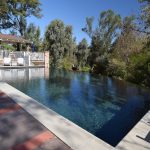luxury pool with stone coping